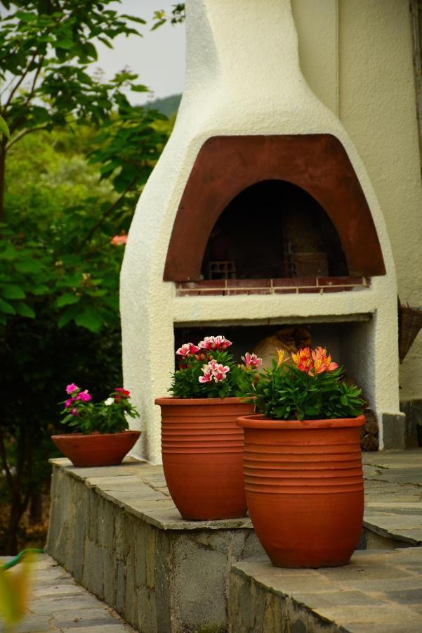 Villa Monte Kariotes Samothraki Ngoại thất bức ảnh
